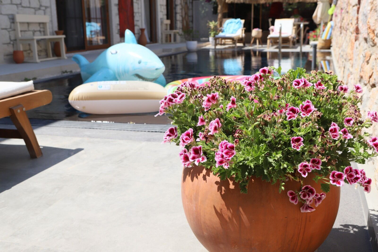 Exterior & Views 2, Lulu Inn Çeşme, Çeşme
