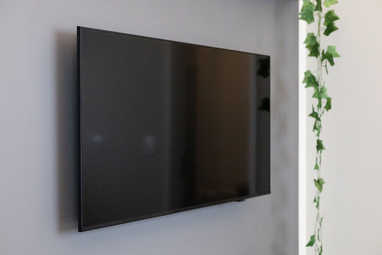 Television, Botanik With Coworking, Pet Place, and Skyview By Carpediem, Recife
