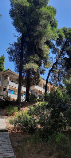 Exterior & Views 2, Dryades Hotel, Central Macedonia