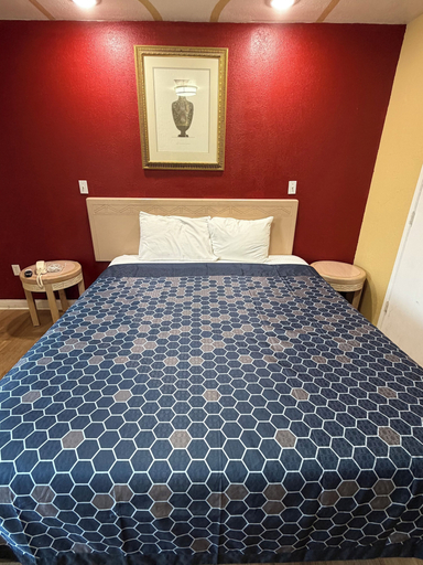 Room 5, Penguin Motel, Los Angeles