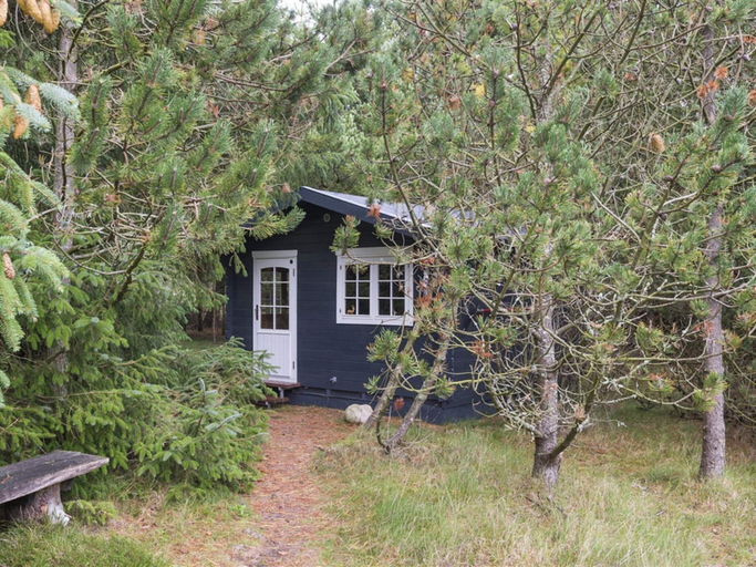 Exterior 5, 5 Star Holiday Home in Blavand, Varde