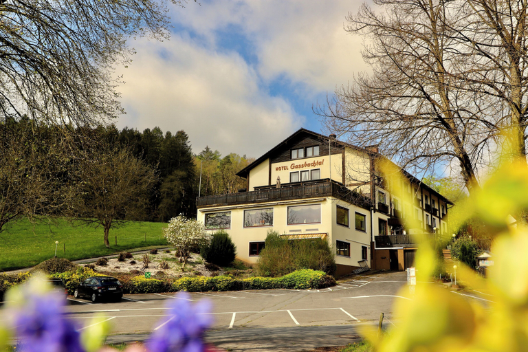 Exterior & Views 1, Natur & Wander Hotel Gassbachtal, Bergstraße
