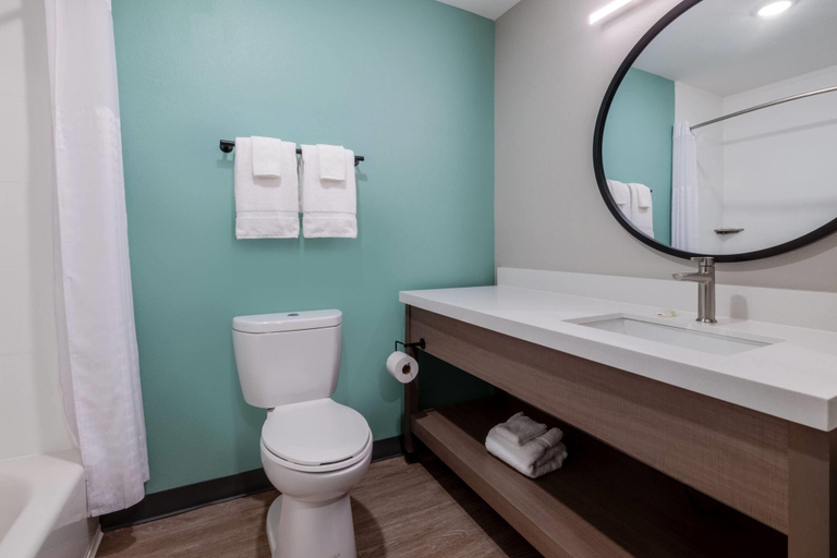 Bathroom 5, Echo Suites Extended Stay by Wyndham Middleburg, Clay