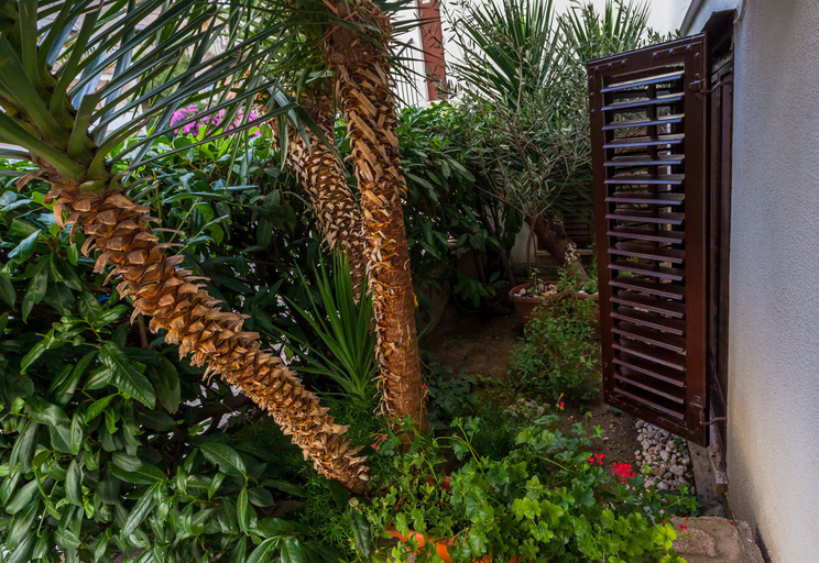 Others 4, Guest House Marija in perfect location, Split