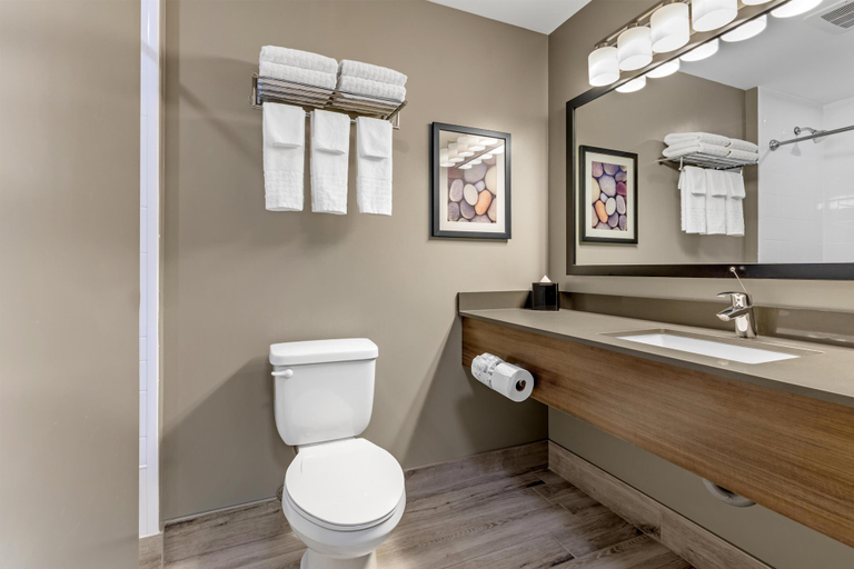 Bathroom 5, Best Western Plus Dauphin, Division No. 17