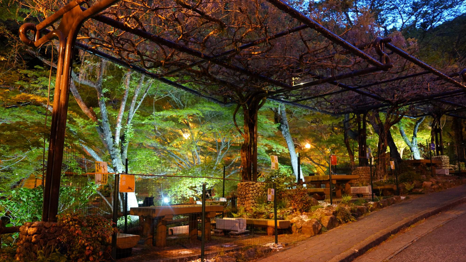 Others 2, Sanage Onsen Hotel Kinsenkaku, Toyota