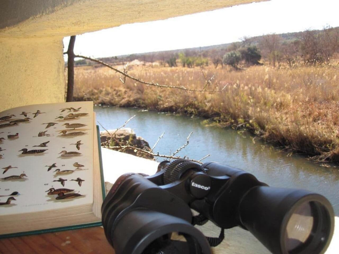 Game viewing 5, Magari Safari Lodge - All Inclusive, Waterberg