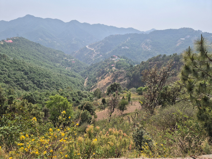 Others 5, OnlyStay Alpine Retreat Shimla, Shimla