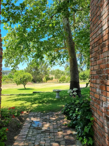 Property grounds 2, mon Reve Estate, Cape Winelands
