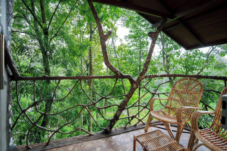 Property grounds, Panchavadi Farm Stay, Idukki