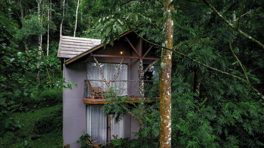 Exterior 4, Panchavadi Farm Stay, Idukki