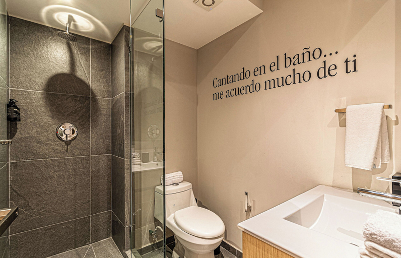 Bathroom 5, Kukun Homero Polanco, Mexico City