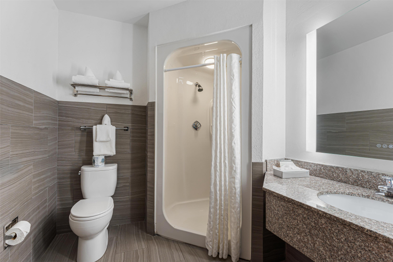 Bathroom 4, Best Western Garden Inn, Washington