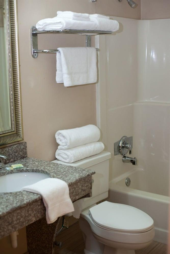 Bathroom, Timberlake Motel, Campbell