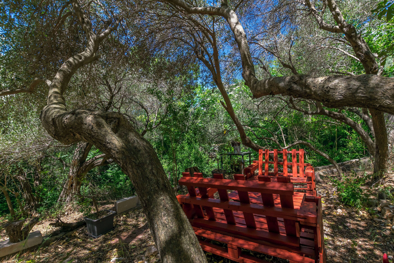Garden 4, Apartments Zeljana on the Beach, Podgora
