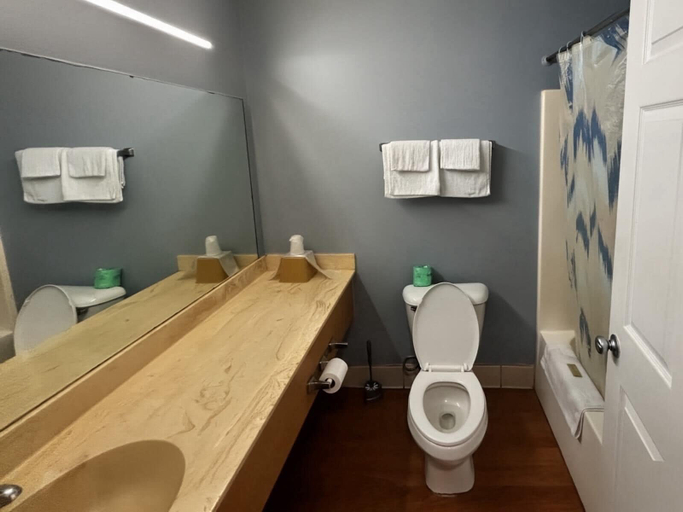Bathroom 5, Crown Inn, Carroll