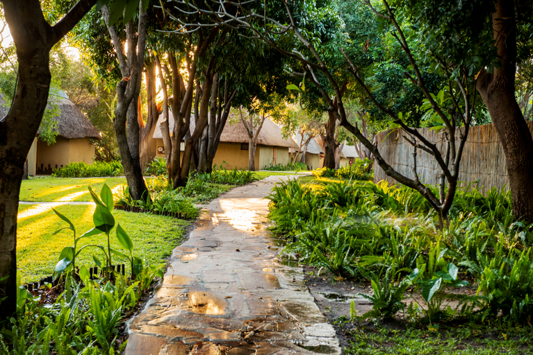 Public Area 3, Namushasha River Lodge, Kongola