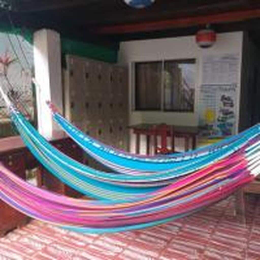 Property grounds, downtown montezuma hostal, Puntarenas
