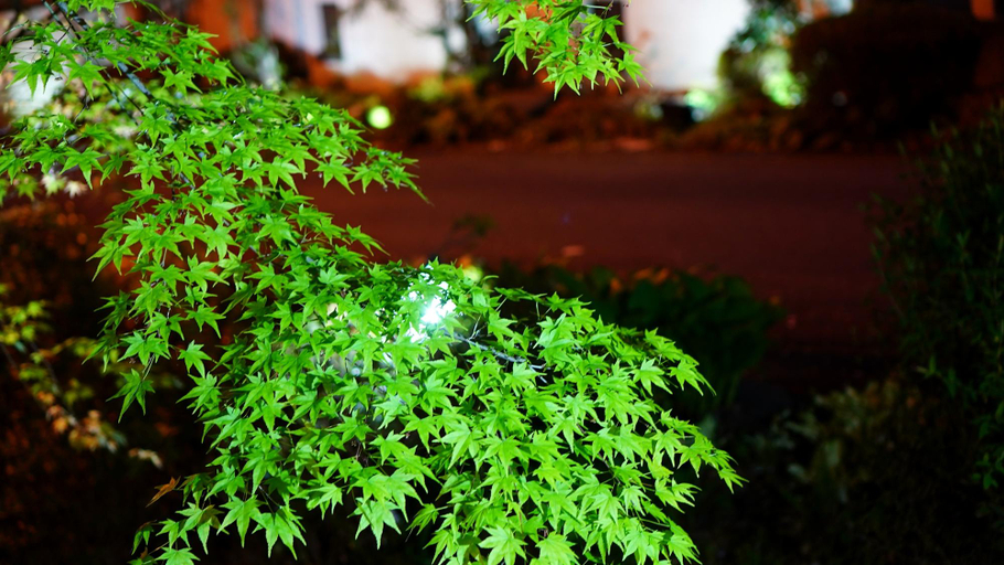 Others 3, Sanage Onsen Hotel Kinsenkaku, Toyota