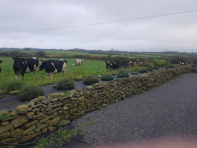 Miscellaneous, Tiny Living on the Wild Atlantic Way