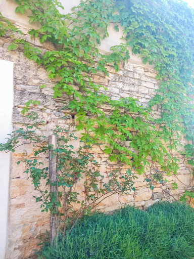Exterior 5, Apartment Orena, Žminj