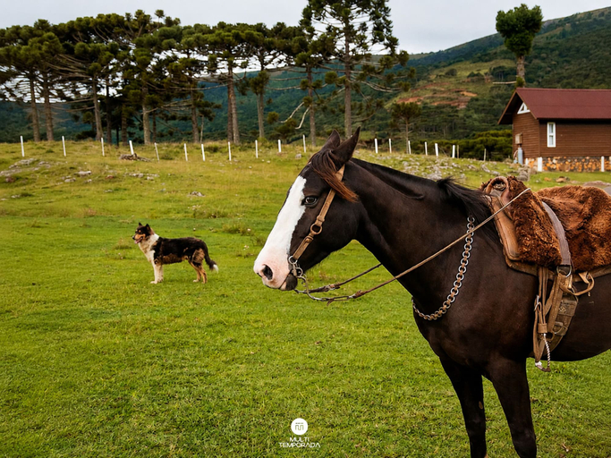 Others, Recanto das Águas - Urubici - SC, Urubici