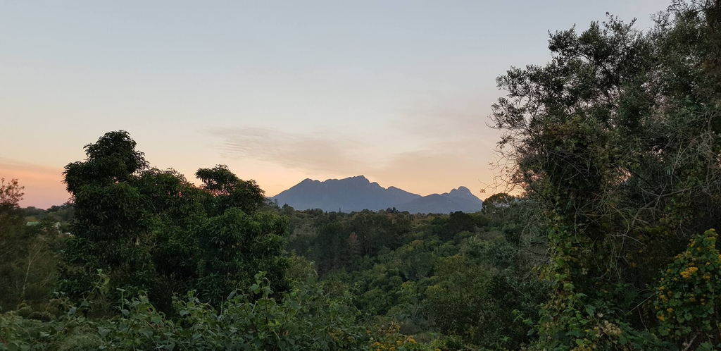 Miscellaneous 4, Farm stay in Wilderness, Eden