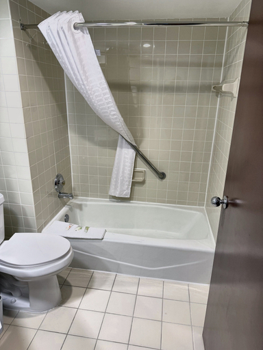 Bathroom 4, Radisson Hotel Detroit Metro Airport, Wayne