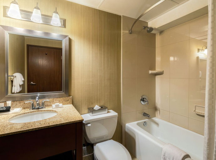 Bathroom 4, Hotel Burbank, Los Angeles