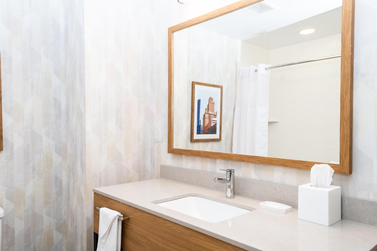 Bathroom 4, Hampton Inn & Suites Addison, Dupage