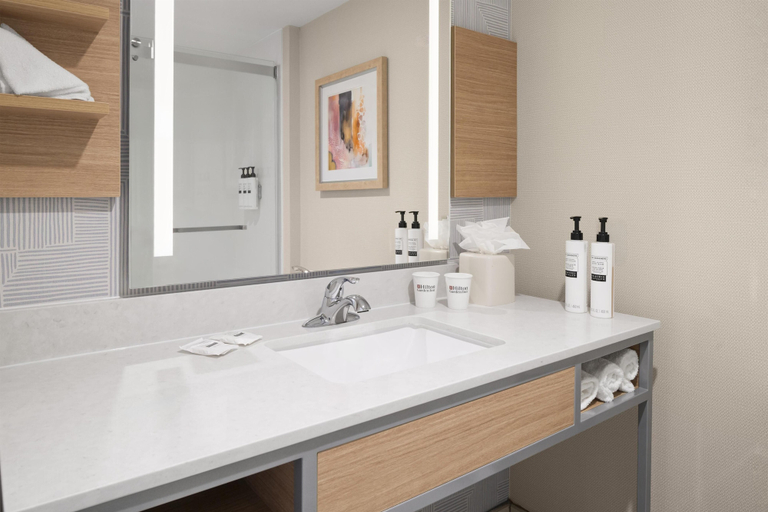 Bathroom 4, Hilton Garden Inn Conway, Faulkner