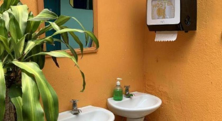 Bathroom, Funk Yeah Hostel, Antigua Guatemala