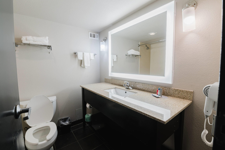 Bathroom 4, Wyndham Garden Texarkana, Bowie