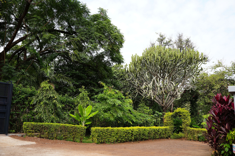 Others 5, jacaranda homestay, Moshi Urban