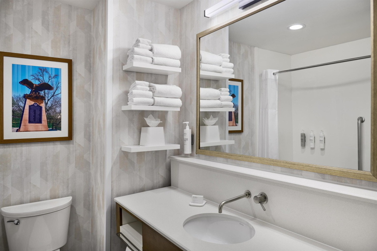 Bathroom 4, Hampton Inn Lawrence, Douglas