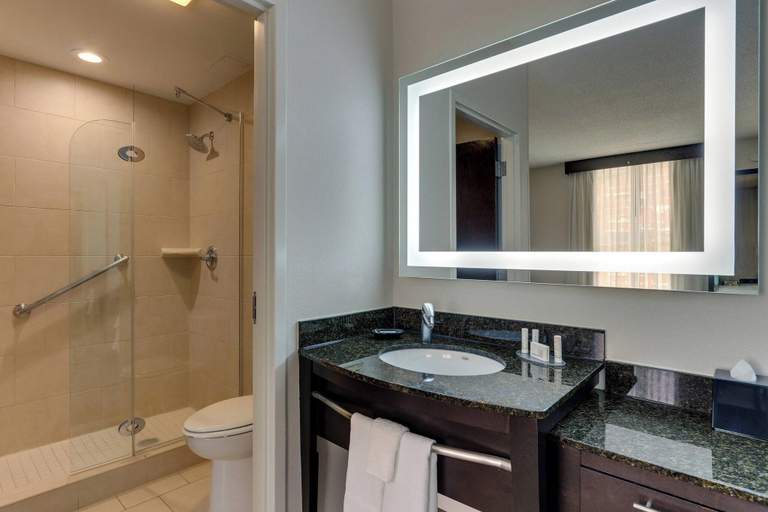 Bathroom 4, SpringHill Suites Birmingham Downtown at UAB, Jefferson