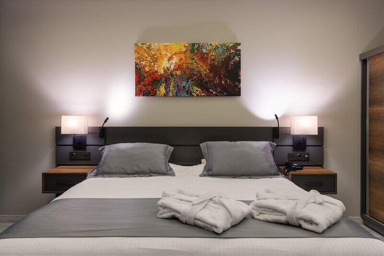 Bedroom 4, The Plaza Hotel Edirne, Merkez