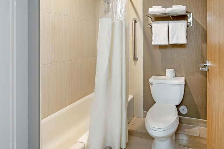 Bathroom 4, Best Western Plus Cottontree Inn, Bonneville