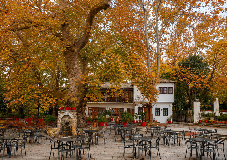 Food & Drinks, Mountain Breeze Sanctuary with View near Volos, Thessaly
