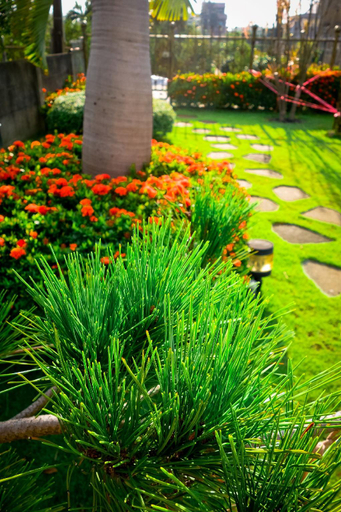 Others 5, Jia Feng Homestay, Changhua