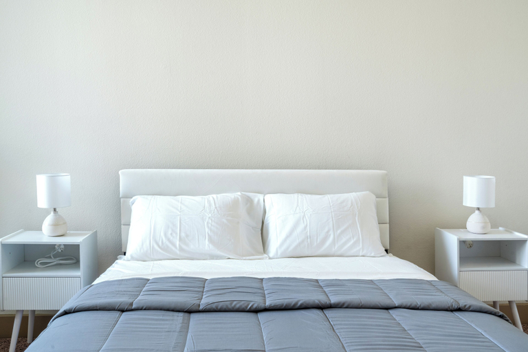 Room 5, PlanURstay -Houston Downtown- 1BR & 1BTH, Houston