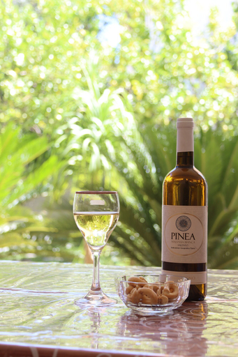 Food and drink 3, Gloria, Lecce