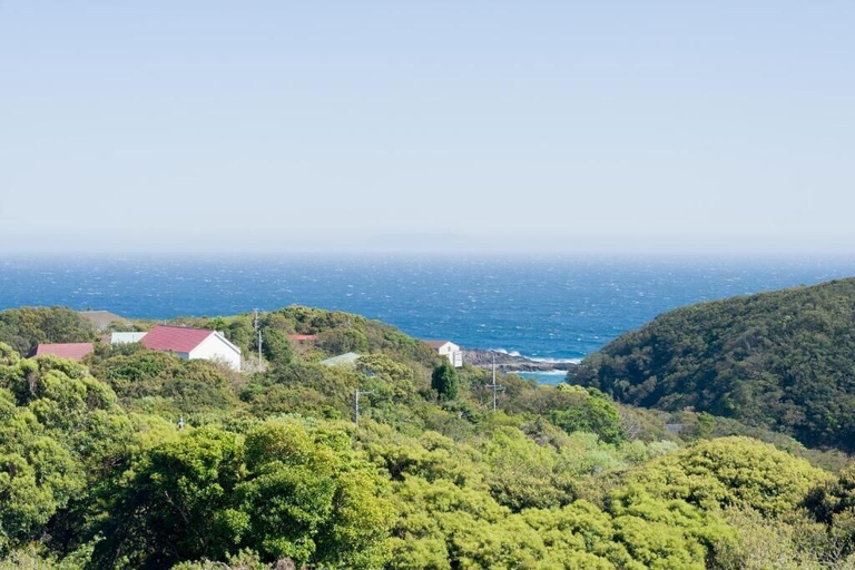 Miscellaneous, Luce Suzaki, Shimoda