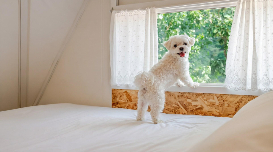 4, Hongcheon Opera Bien Glamping, Hongcheon