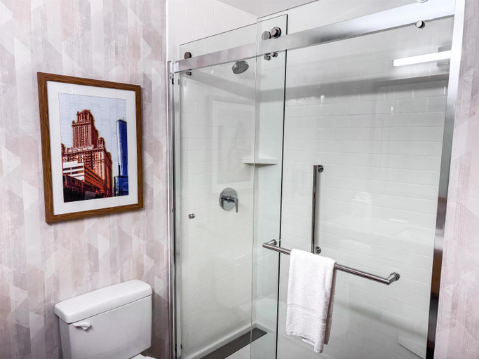 Bathroom 4, Hampton Inn & Suites Addison, Dupage