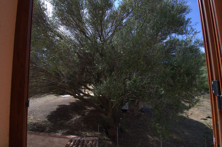 Room 3, Fma-str01 in Maiorca, Nuoro