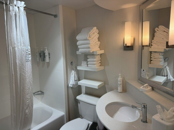 Bathroom 5, Hampton Inn Downingtown/Exton, Chester