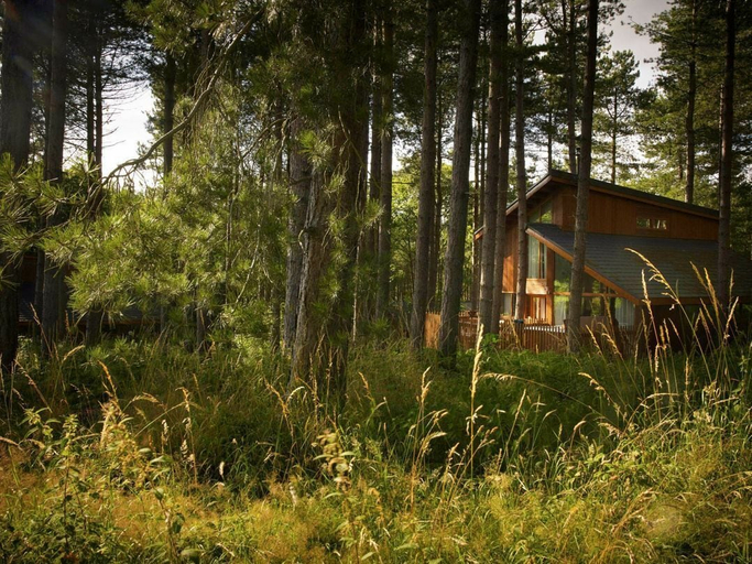 Front of property 4, Blackwood Forest Silver Birch Wheelchair Accessible Cabin, Hampshire