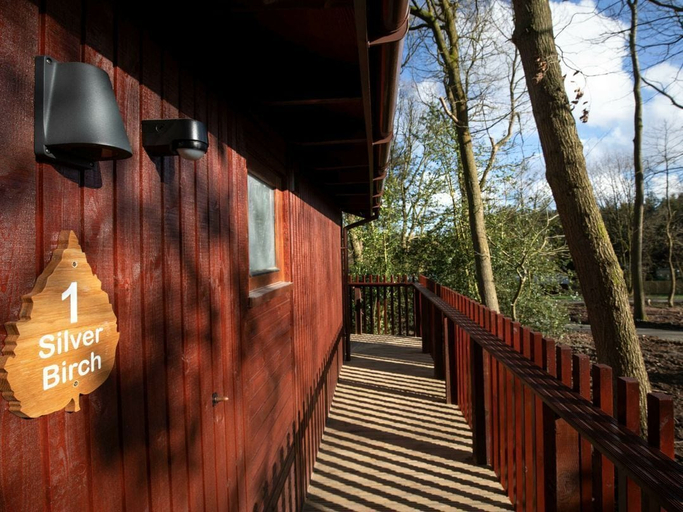 Primary image, Blackwood Forest Silver Birch Wheelchair Accessible Cabin, Hampshire
