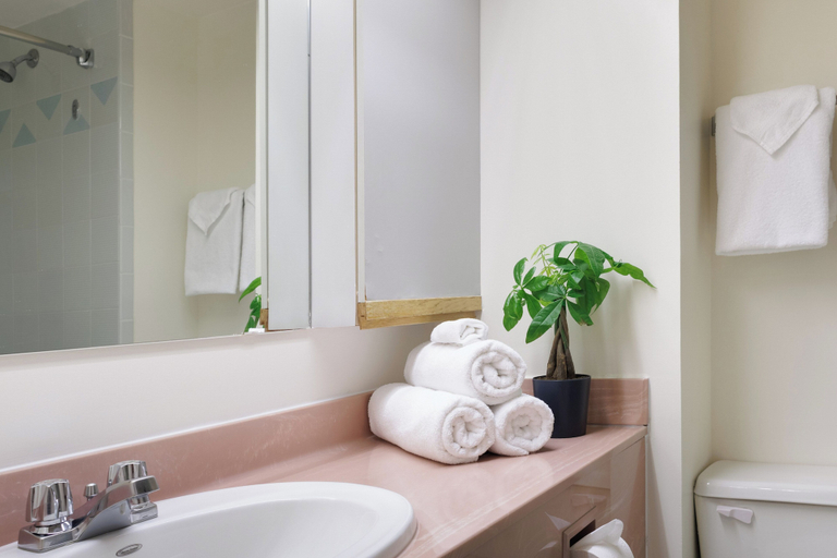 Bathroom 5, Cartier Place Suite Hotel, Ottawa